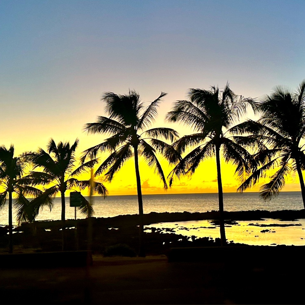 Meet your Posher, Ann